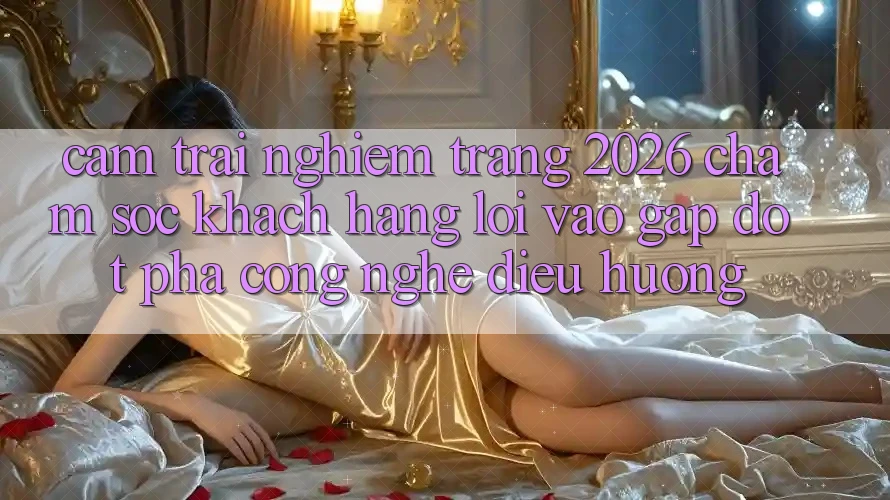 Cảm trải nghiệm Trang 2026 Chăm sóc khách hàng Lối Vào Gấp: Đột phá công nghệ điều hướng