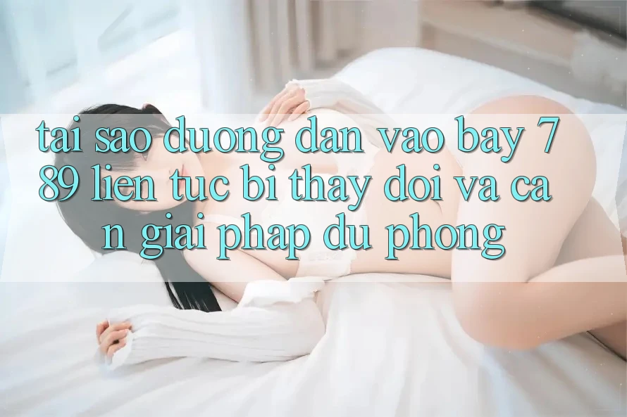 Tại sao đường dẫn vào bay 789 liên tục bị thay đổi và cần giải pháp dự phòng? Tại sao đường dẫn vào bay 789 liên tục bị thay đổi và cần giải pháp dự phòng?